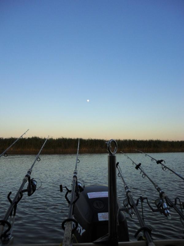 Delta iunie 2013 - dsc09893.JPG